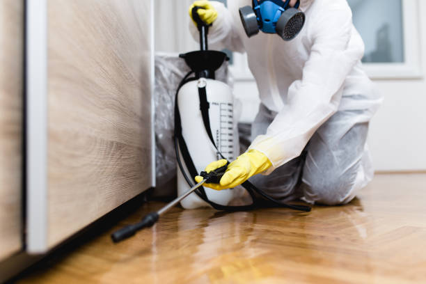 Best Pest Control for Homes  in Ecorse, MI