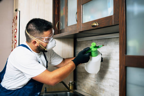 Best Best Pest Control Companies  in Ecorse, MI