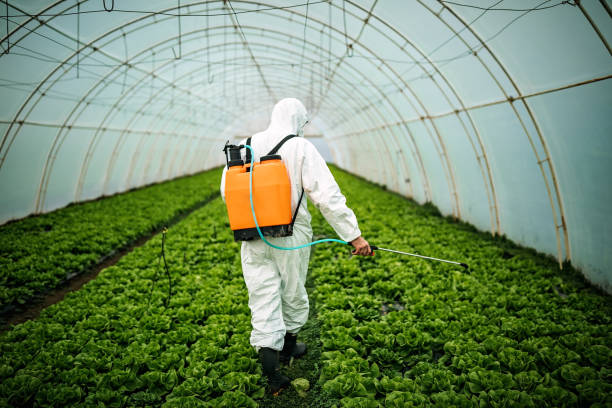 Professional Pest Control in Ecorse, MI
