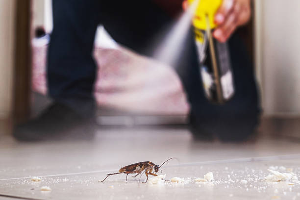 Best Bed Bug Extermination  in Ecorse, MI