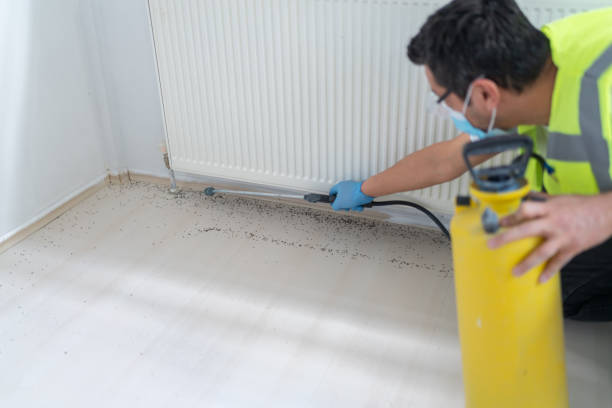 Best Pest Control Near Me in Ecorse, MI