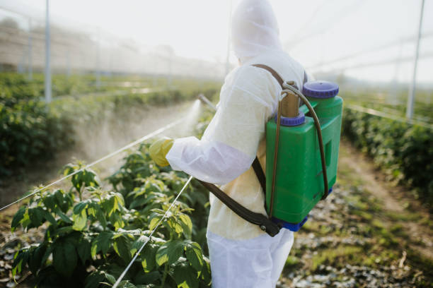  Ecorse, MI Pest Control Pros
